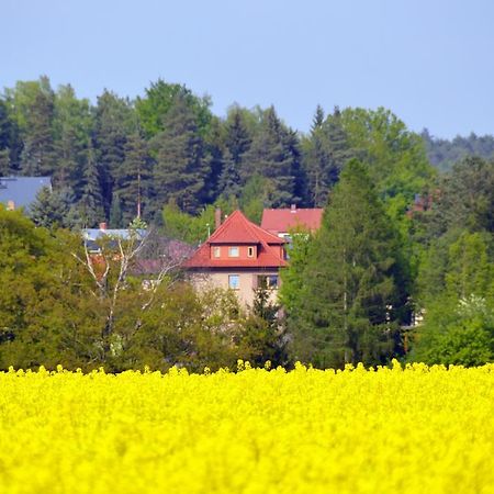 Ferienwohnung Deutschmann Dahlen Oda fotoğraf