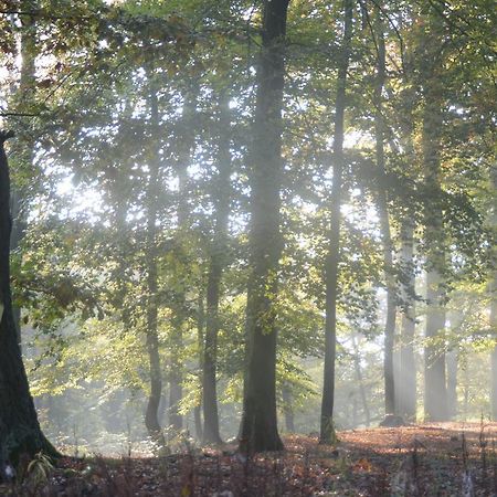 Ferienwohnung Deutschmann Dahlen Dış mekan fotoğraf
