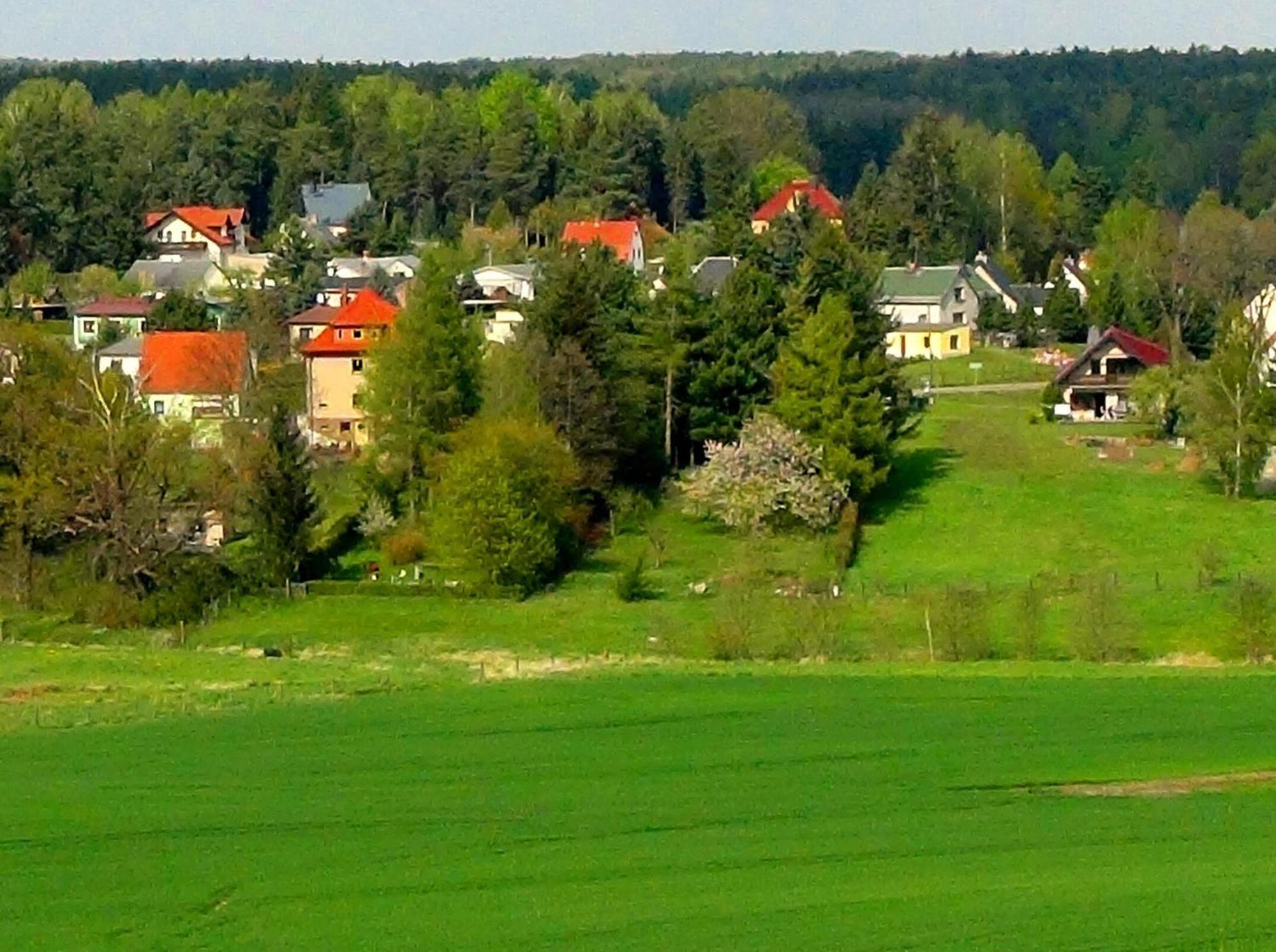 Ferienwohnung Deutschmann Dahlen Dış mekan fotoğraf