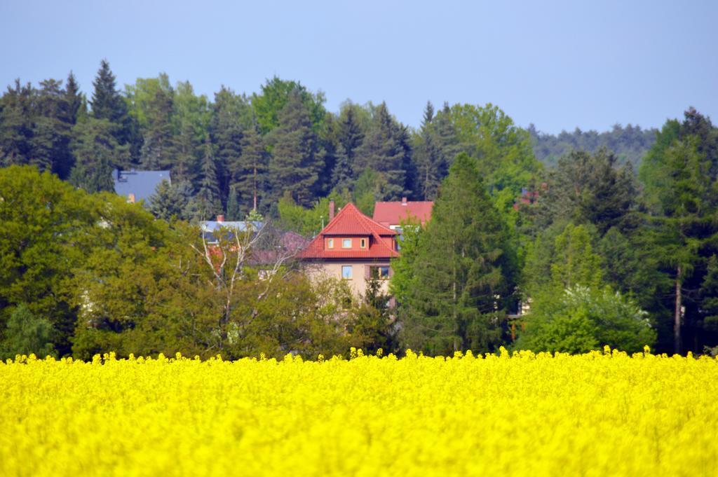 Ferienwohnung Deutschmann Dahlen Oda fotoğraf
