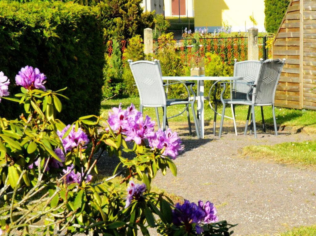 Ferienwohnung Deutschmann Dahlen Oda fotoğraf
